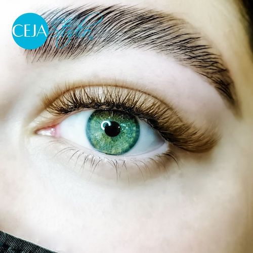 Lifting de Cejas y Extensiones de Pestañas Café Clásicas